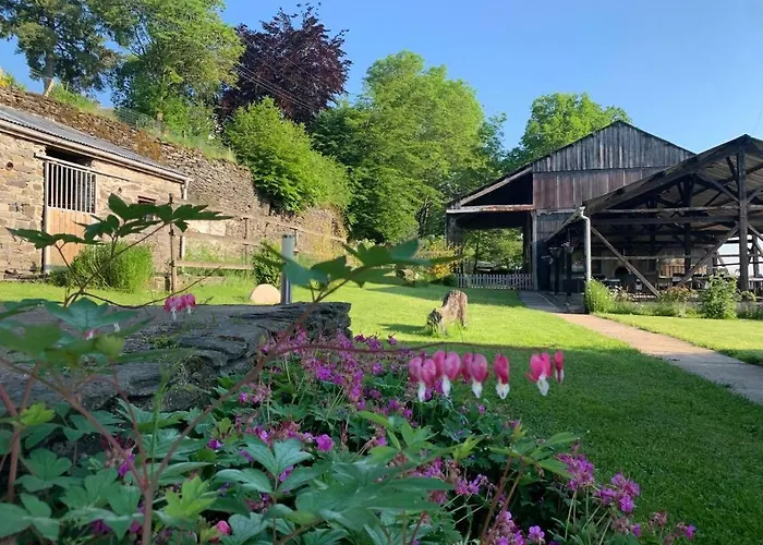 Coeur De Boeur Vakantiehuis *